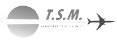 TSM logo escala de grises